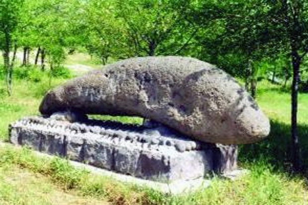 Vishap-kamni-drakonyi