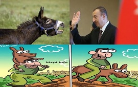 В Азербайджане с поголовьем ишаков