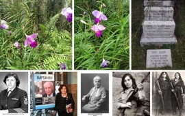 Отвага и творения армянской женщины