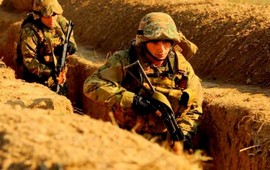 Погоня за сомнительными лаврами