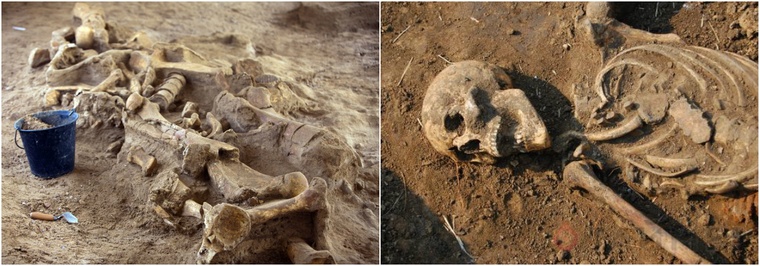 Слідом велетнів: у Вірменії знайшли гігантські кістки