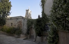 Исцеляющее дерево и дом Анны в Иерусалиме