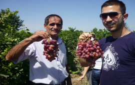 Себастия Овсепян - Kiva - Поддержка армян