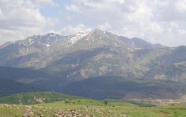 Сасун 1964 год - Вооруженное сопротивление