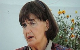 Кэролайн Кокс: "Вооруженные азербайджанцы