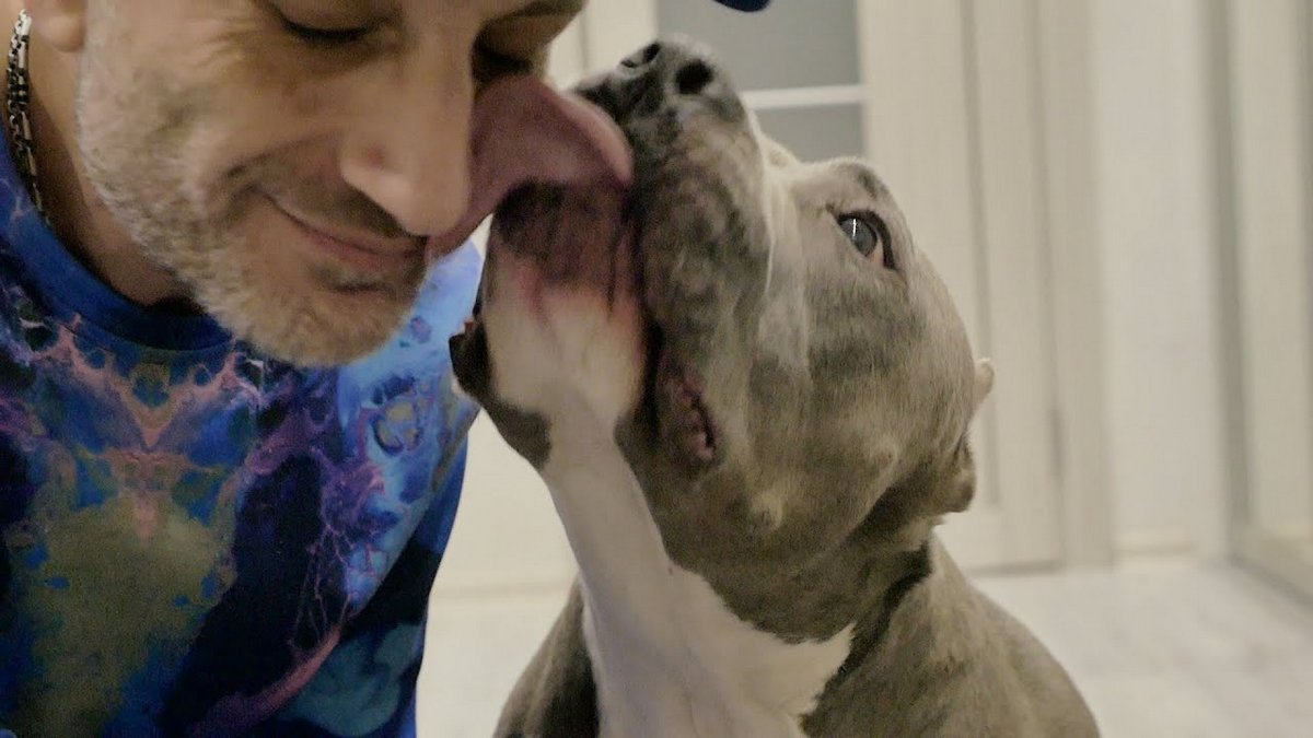 Антуан Наджарян - Исповедь Повелителя Собак