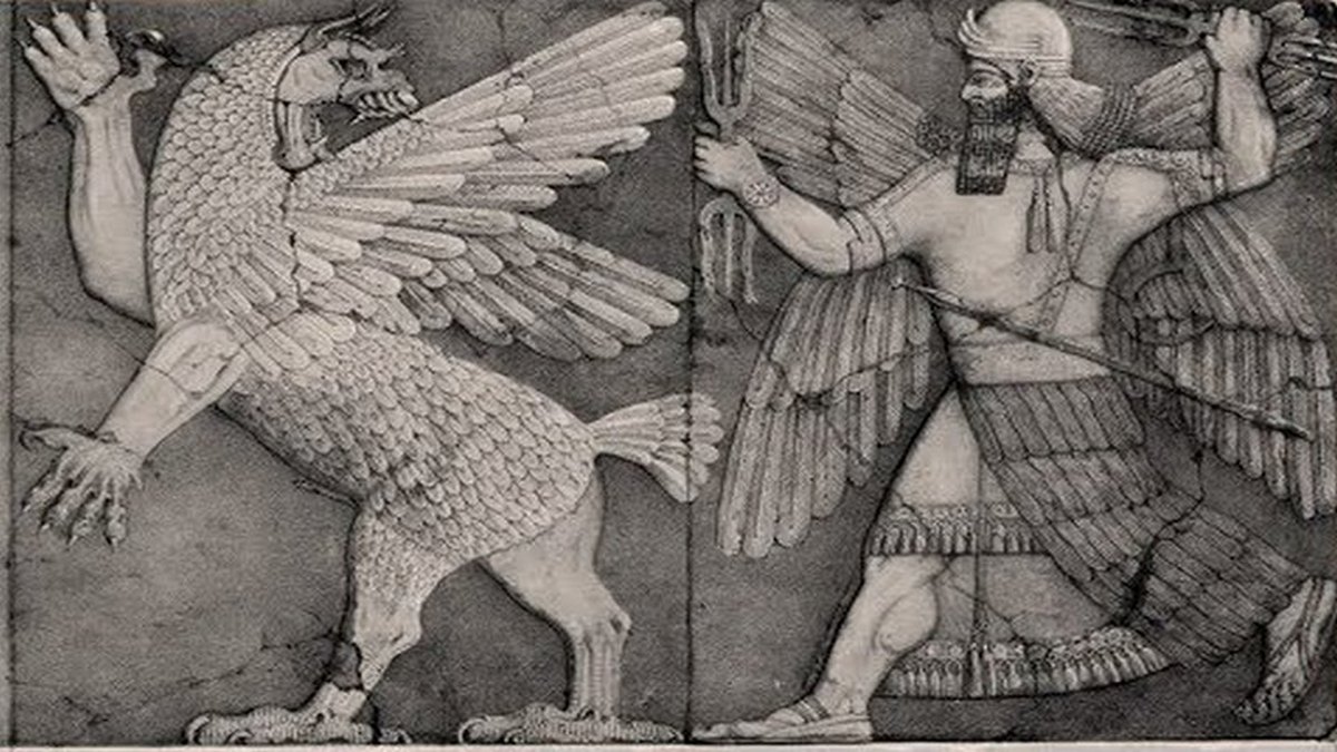 Шокирующая история - Hayasa Live