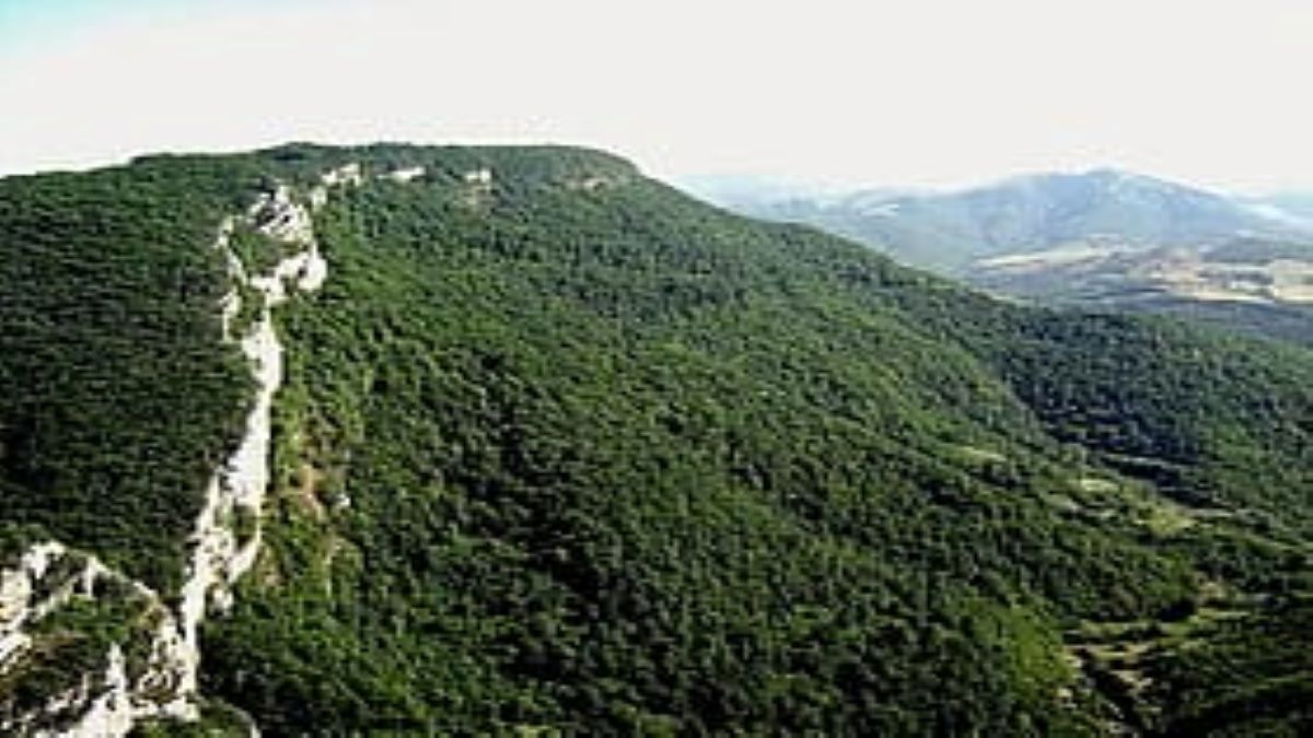 Азербайджанская истерия вокруг Хачин Тапа или как раскрылись фейки Баку