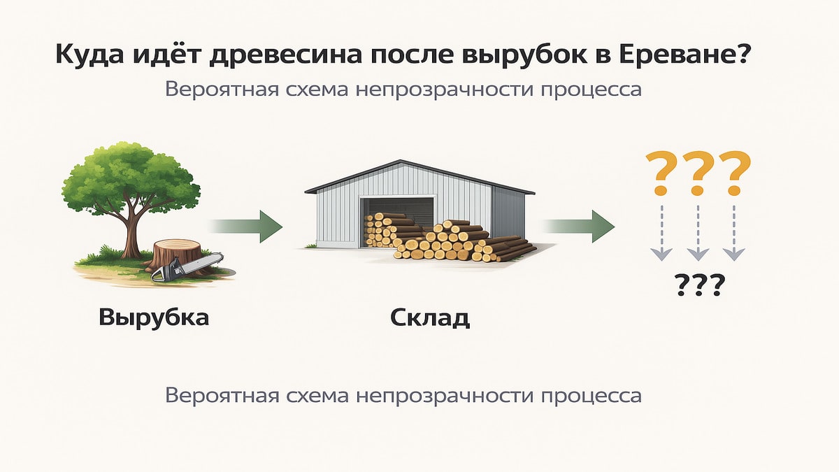 Куда уходит древесина после вырубок в Ереване